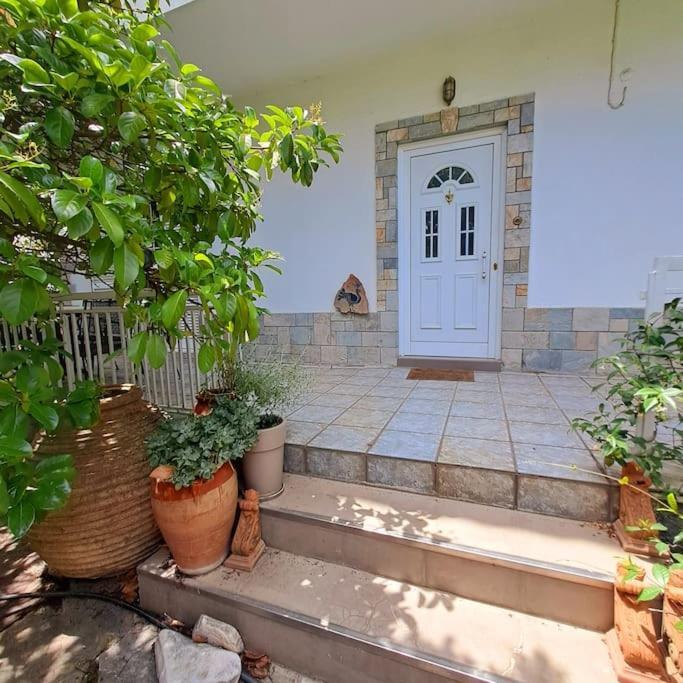 Appartement 20' From The Airport,20' From The Center Of Athènes Extérieur photo